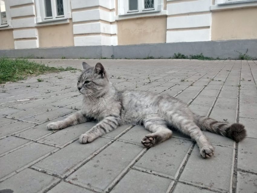 Фото: Наталья Ломжева